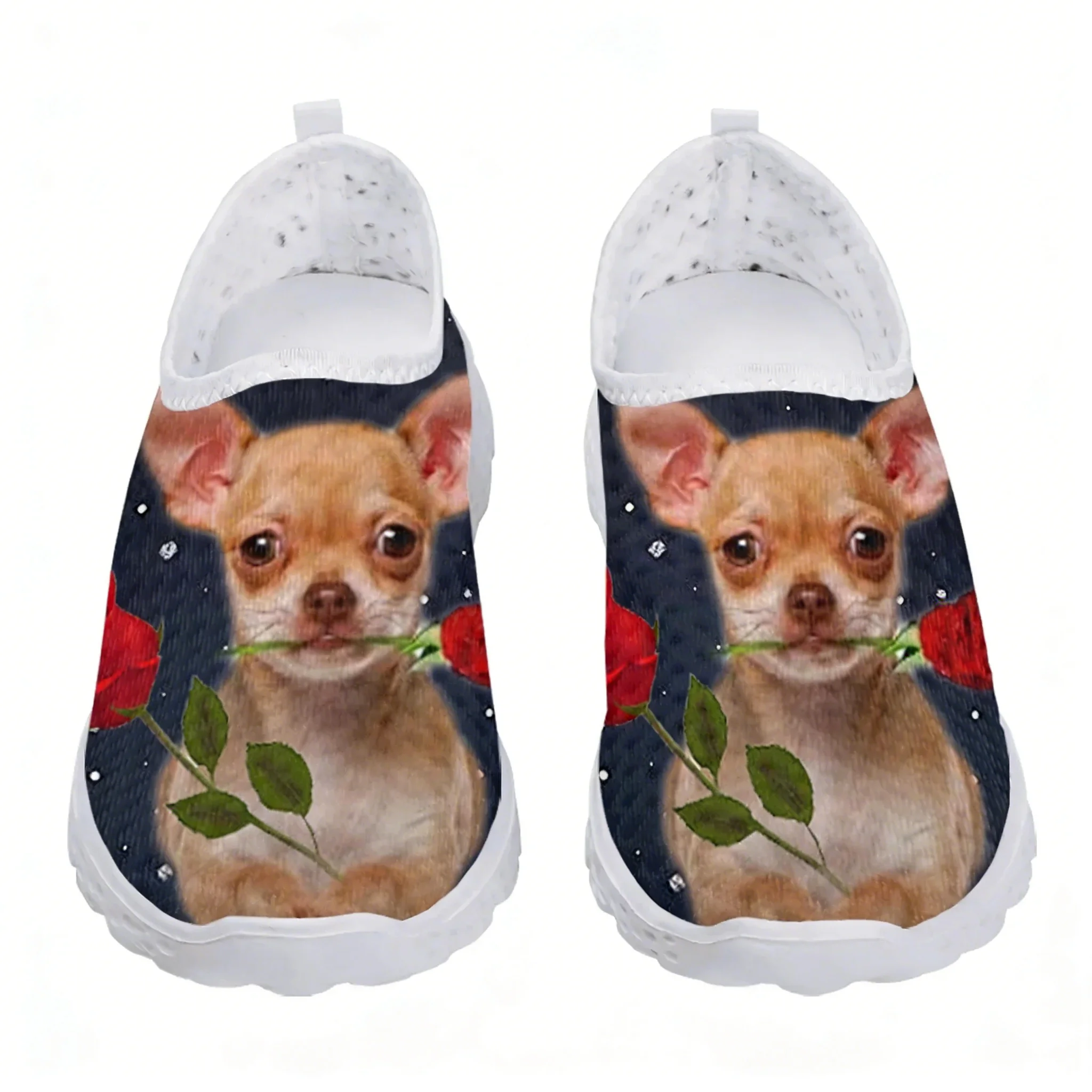 Chihuahua Rose Flower Design M - Women Shoes Tennis ulasan dan harga