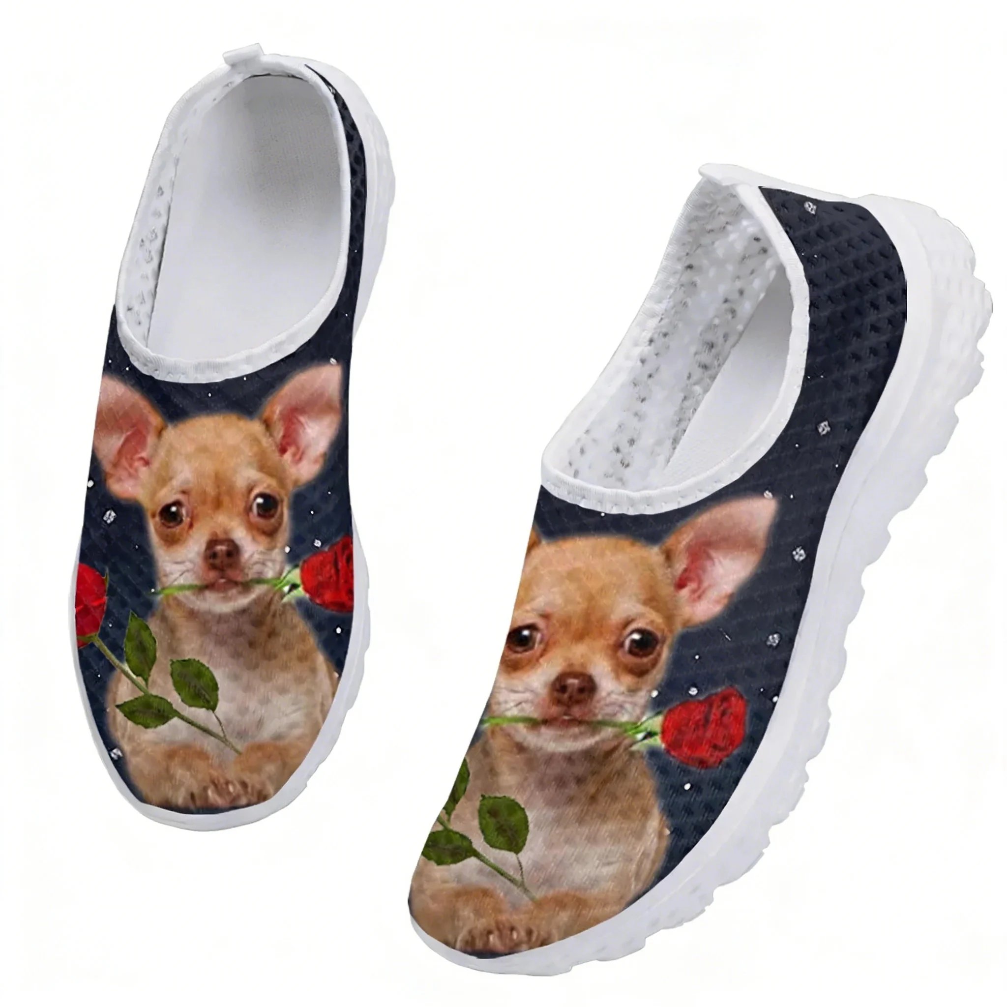 Chihuahua Rose Flower Design M - Women Shoes Tennis ulasan dan harga